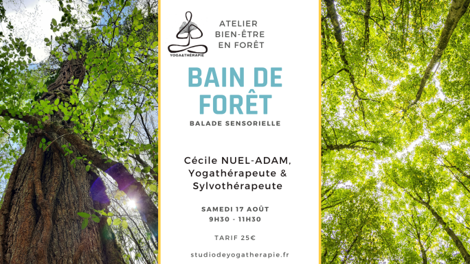 BAIN DE FORÊT, une balade sensorielle en forêt – SAMEDI 17 AOÛT –&nbsp;9h30-11h30